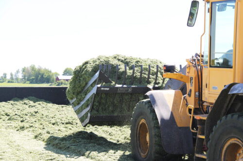 ensilagegrep_for_hjullastare_stora_bm_front_norje_live