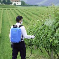 Batteridriven ryggspruta Matabi LTC - för växtskötsel, kapacitet 15 liter - Bild 3