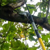 Teleskopstång Lätt ArboRapid - maxlängd 4650 mm, 3 delar, glasfibrer - Bild 3